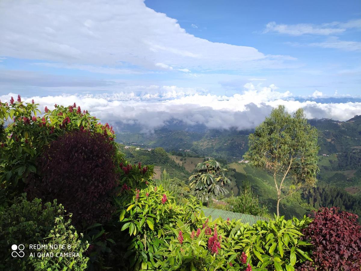 Mirador Finca Morrogacho Manizales Eksteriør billede
