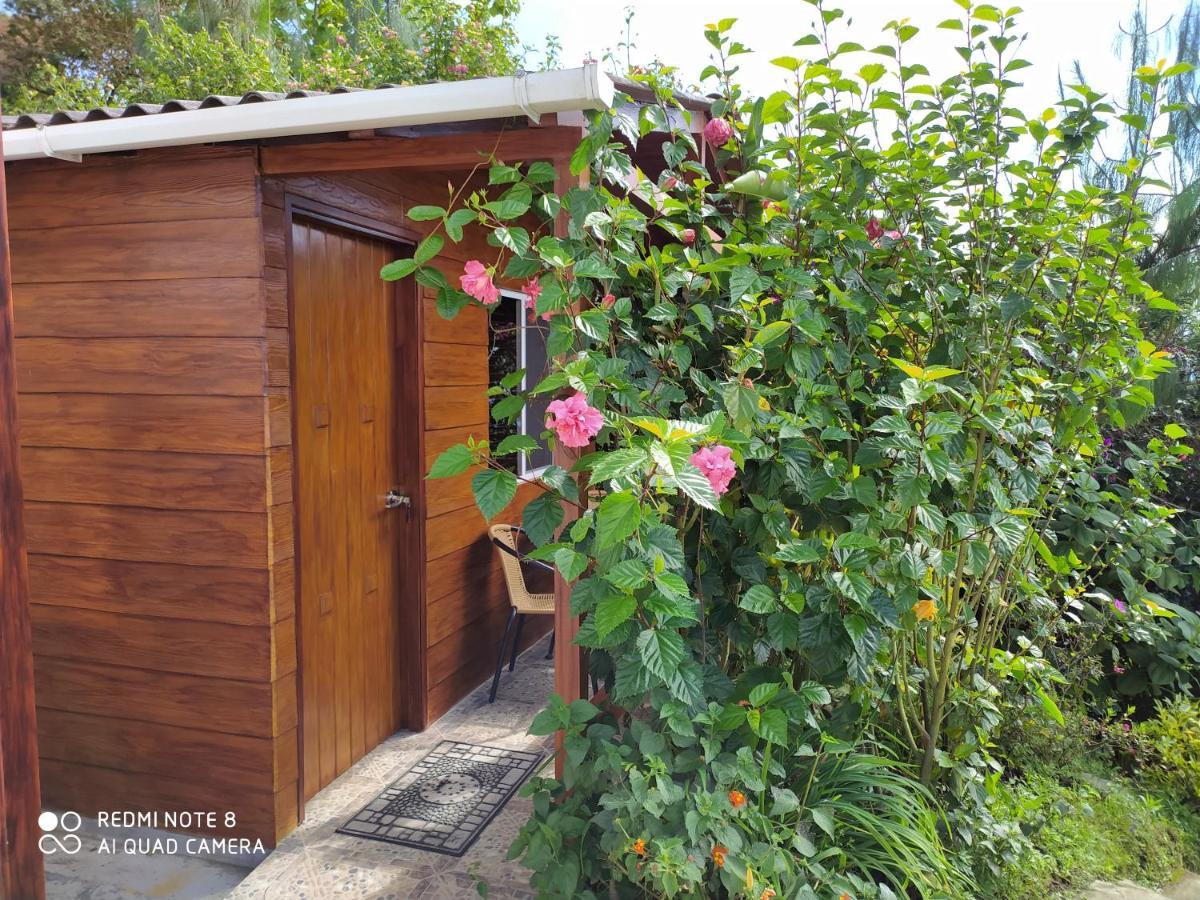 Mirador Finca Morrogacho Manizales Eksteriør billede
