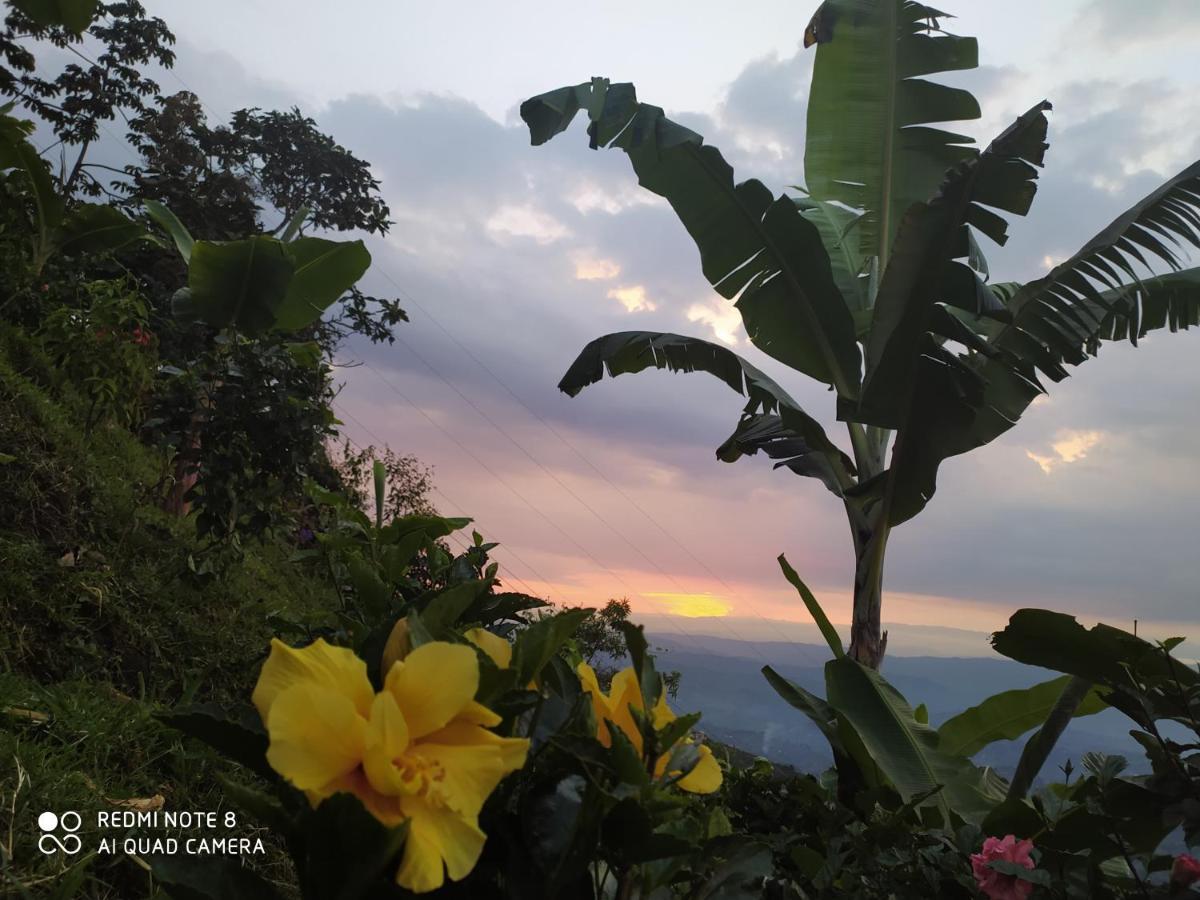 Mirador Finca Morrogacho Manizales Eksteriør billede