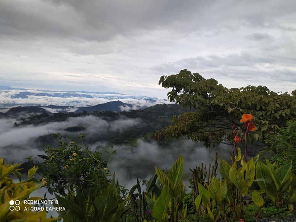 Mirador Finca Morrogacho Manizales Eksteriør billede