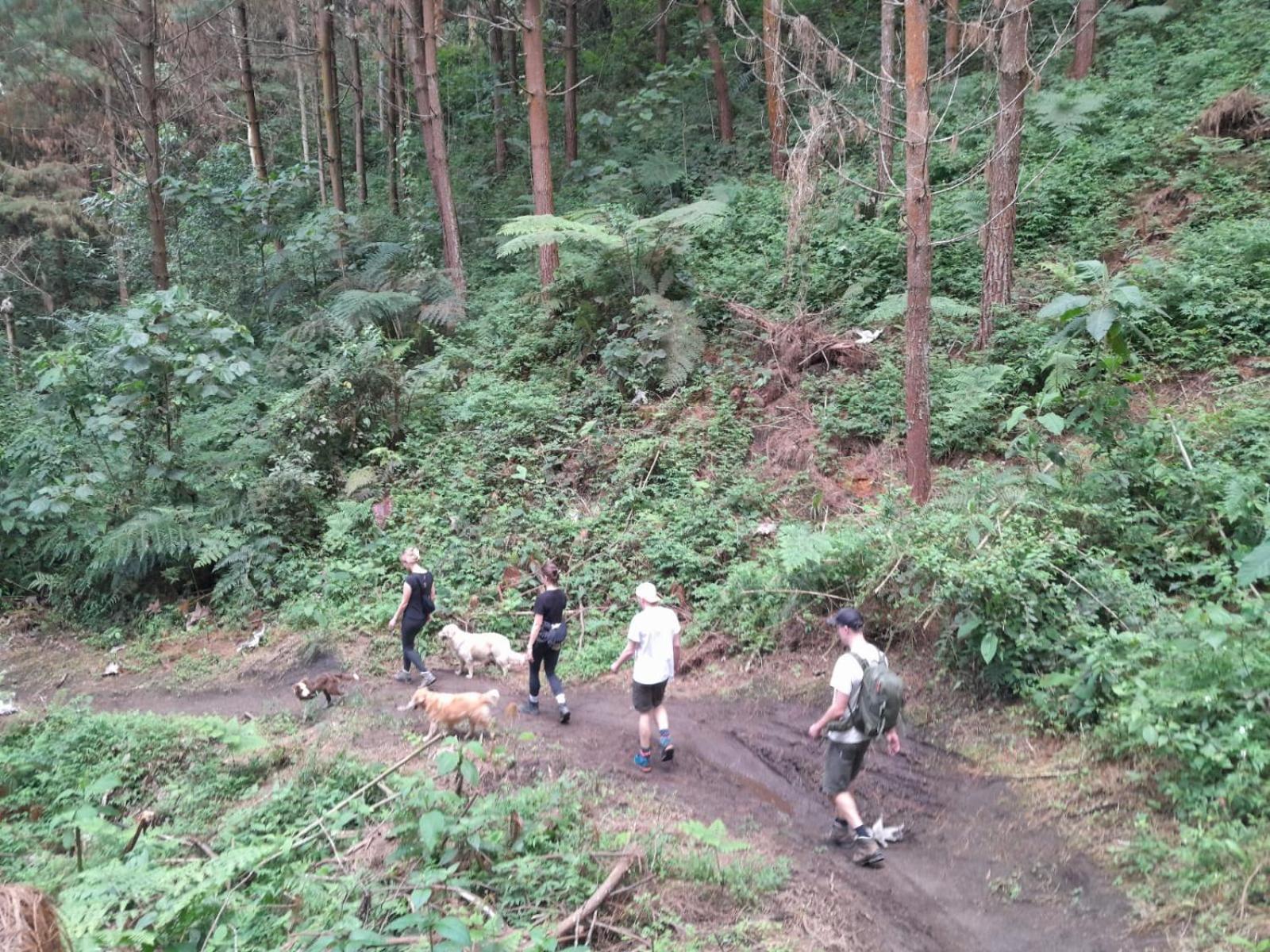 Mirador Finca Morrogacho Manizales Eksteriør billede