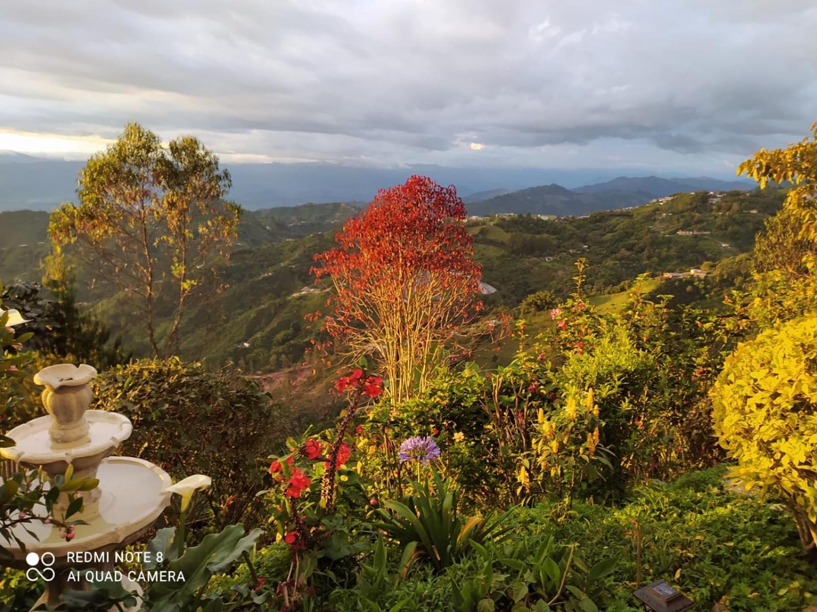 Mirador Finca Morrogacho Manizales Eksteriør billede