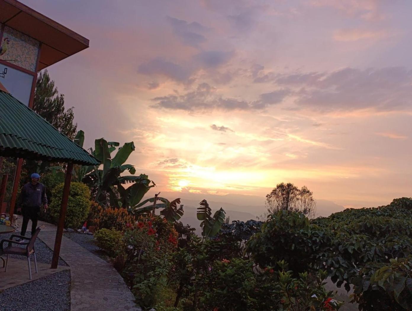 Mirador Finca Morrogacho Manizales Eksteriør billede