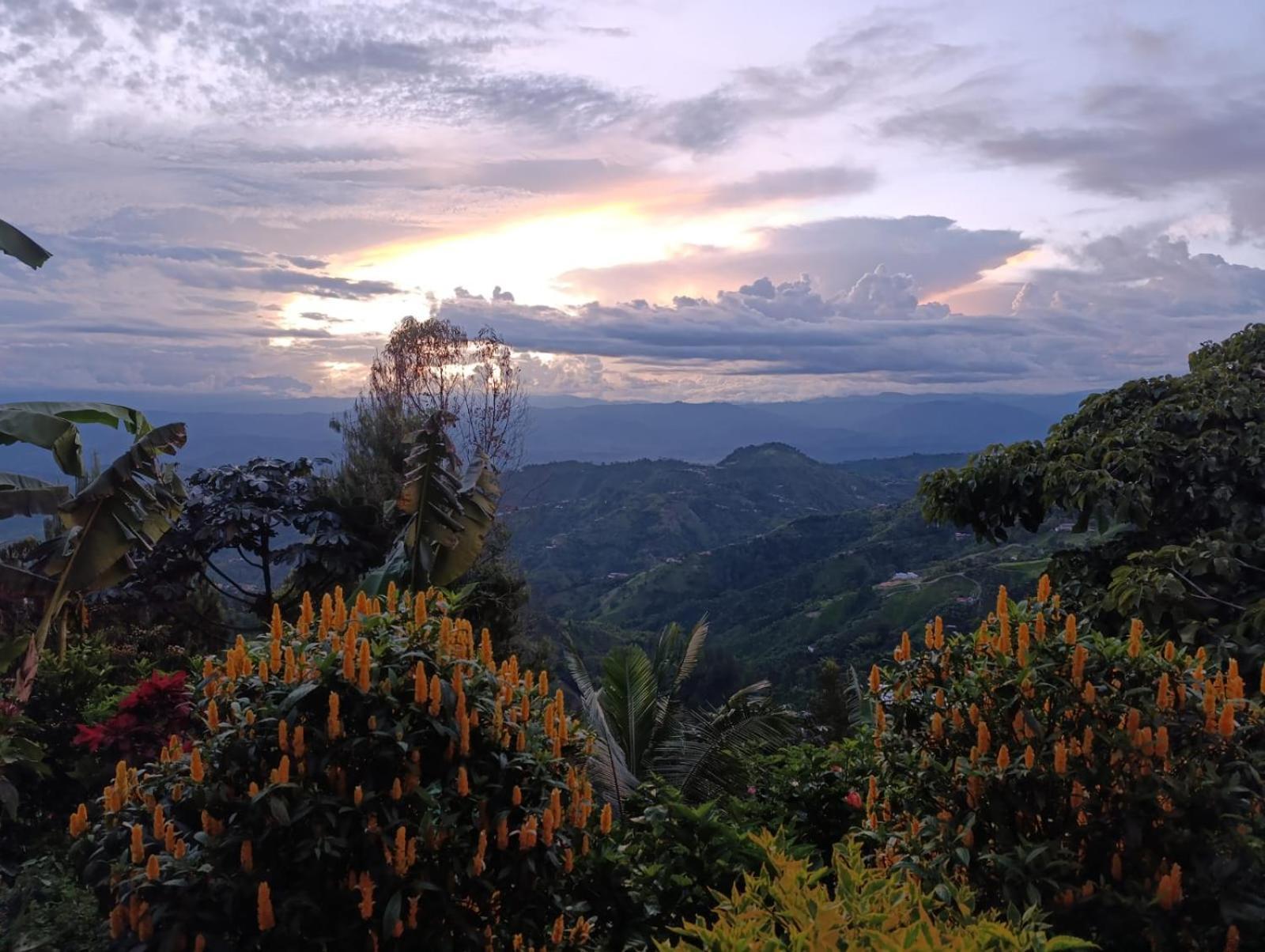 Mirador Finca Morrogacho Manizales Eksteriør billede