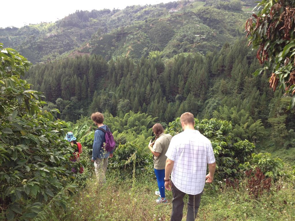 Mirador Finca Morrogacho Manizales Eksteriør billede