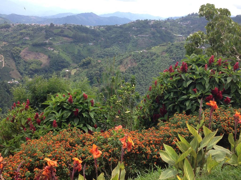 Mirador Finca Morrogacho Manizales Eksteriør billede